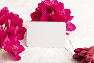 White business card with purple azalea flowers on gray concrete background. side view, copy space,