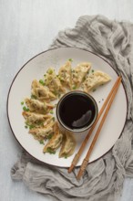 Japanese Gyoza dumplings, fried, with sauce, top view, without people, tinted, selective focus