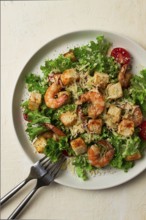 Caesar salad, with shrimp, on a white background, homemade, no people