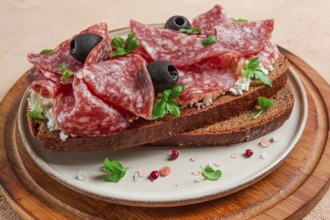 Sandwich, grain bread, with cream cheese and salami, black olives, micro-greens, top view,