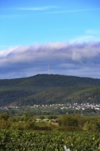 Panorama from the Haardtrand with a view of the Palatinate Forest