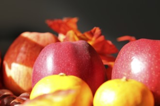 Apples and mandarins on a rustic wooden table as an autumnal motif