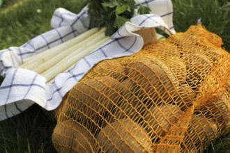 Asparagus and potatoes decorated in grass