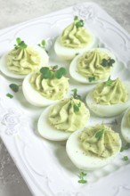 Snack, stuffed eggs with avocado, homemade, no people