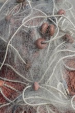 Fishing nets with ropes and floats, harbour, Santa Maria di Leuca, Apulia, Southern Italy, Italy,