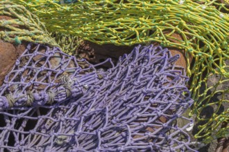 Colourful fishing nets, Neuharlingersiel harbour, Harlingerland, Lower Saxony, Germany, Europe