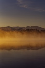 Autumnal morning atmosphere at Schmutter Weiher with fog near Lechbruck, Halblech and Roßhaupten in