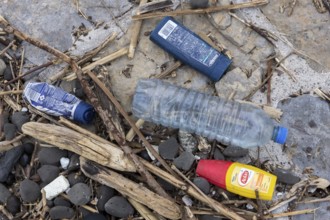 Symbolic image environmental pollution, plastic waste, rubbish, flotsam from a flood on the Neckar