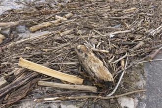 Symbolic image of environmental pollution, flotsam from a flood on the Neckar River, Holz, Hofen,