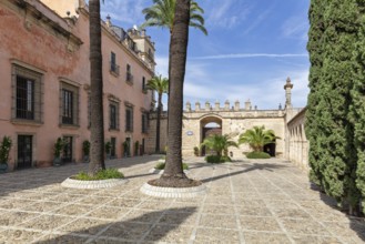 Sunny courtyard with palm trees and a historic building with a pink façade, Jerez