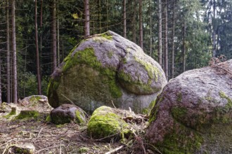 Boulders in a forest clearing near Hirschenbühl, municipality of Wald, Bavaria, Germany, Europe