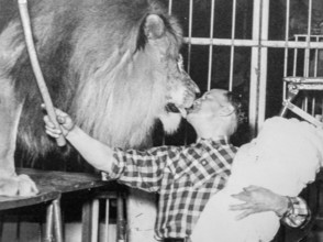 Black and white photograph from the 1950s showing lion tamer giving male lion kiss of death with