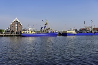 Fishing boat in the home harbour of the fishing fleet, Oudeschild, Texel, North Holland,