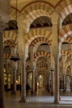 Mezquita-Catedral de Córdoba, Mosque-Cathedral of Córdoba, Prayer hall with columns and horseshoe