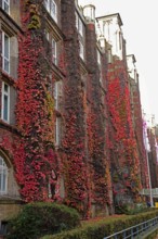 Europe, Germany, Hamburg, Rotherbaum, architecture, facade post office building, former