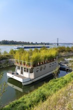 Houseboat with roof garden at the Rhine harbour on Robert-Lehr-Ufer, in Düsseldorf, in the