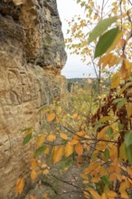 Klusfelsen with colourful autumn leaves, prehistoric cult site in the Harz Mountains, served as a