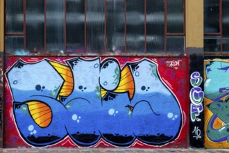 Graffiti in shades of blue and orange with a strong design language on an urban surface, Landau,