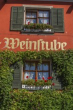 Meersburg on Lake Constance, inscription wine bar, wine, restaurant, flower box, close-up,