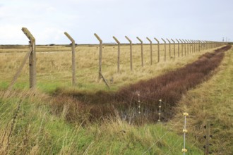 Orford Ness lighthouse Open Day, September 2017, Suffolk, England, UK, old military fencing posts