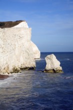 Chalk cliffs at Seaford Head, East Sussex, England, United Kingdom, Europe