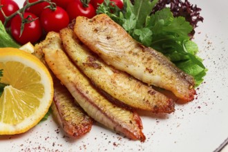 Fried Tilapia fish fillet, in spices, with cherry and salad, on a white plate, homemade, no people