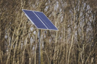 A solar panel looms in front of a forest in Berlin, 29/02/2024