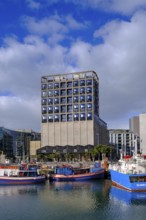 Zeitz MOCAA Museum, Dockyard and Harbour District, Victoria & Alfred Waterfront, Cape Town, Cape