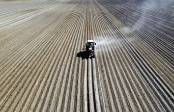 Tractor dragging a plume of dust behind it while working a potato field, Münchenberge, 20/05/2020