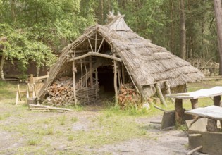 Hands on Heritage, site of reconstructed archaeological historic buildings, Tunstall forest,