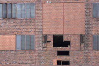 Eurasian eagle-owl (Bubo bubo), adult male, sitting in the window of an old industrial building,