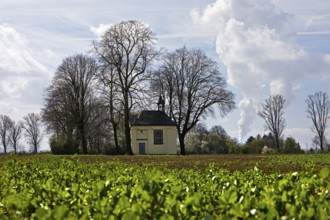 Castle chapel of Haus Horr, Grevenbroich, Rhine district of Neuss, Lower Rhine, North