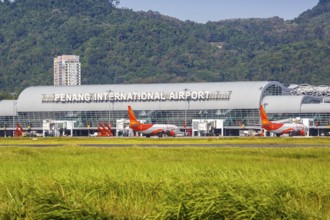 Boeing 737-800 aircraft from Firefly at the terminal of Penang Airport, Malaysia, Asia