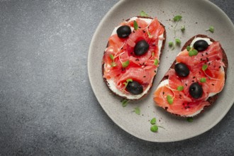 Sandwiches with red fish, cream cheese, olives and microgreens, breakfast