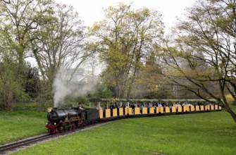 Operation with the steam locomotive SANTA MARIA, Killesbergbahn, small railway, attraction for