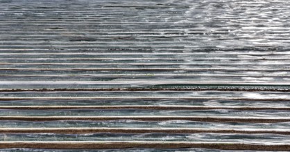 Asparagus field covered with foil, Beelitz, 26/03/2024