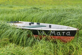 The Edersee, near Waldeck, the third largest reservoir in Germany, is currently only 13% full, the