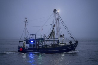 Thick fog in winter, hangs over the mouth of the Elbe into the North Sea, fishing boat, shrimp