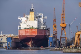 Lloyd Werft, dry dock, freighter Atlantic Journey, shipyard in the overseas harbour of Bremerhaven,