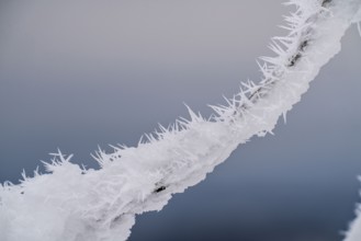 Snow-covered and icy fence, winter in Sauerland, Hochsauerlandkreis, at Kahler Asten, near