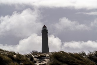 Dune landscape, New lighthouse, Borkum, island, East Frisia, winter, season, autumn, Lower Saxony,