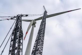 Erection of a wind turbine, wind energy plant, assembly of the third blade, with a crawler lattice