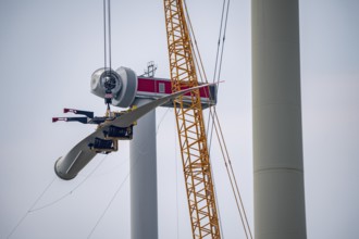 Erection of an Enercon E-160 wind turbine, rear, assembly of the first blade, 4 turbines with a