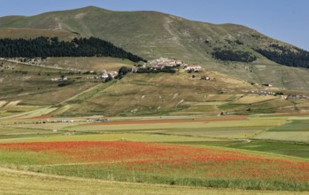 Mountain landscape on the edge of the Pian Grande di Castelluccio di Norcia plateau in the Monti