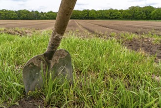 Scraping, shovelling at the edge of a freshly tilled field, North Rhine-Westphalia, Germany, Europe