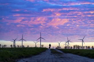 Wind farm near Holzweiler, town of Erkelenz, wind turbines, man walking his dog, North