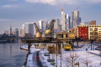 The skyline of Frankfurt am Main, skyscrapers of the banking district, historic harbour cranes at