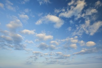 Fleecy clouds adorn the blue evening sky