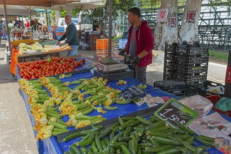 Market stall with fresh vegetables such as courgettes and peppers. A vendor stands behind the