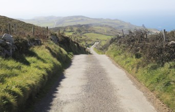 Long country lane road on Cape Clear Island, County Cork, Ireland, Irish Republic, Europe